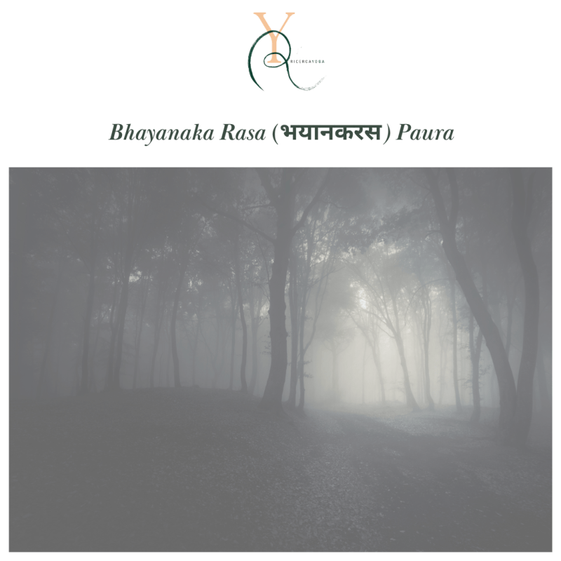 Bhayanaka Rasa, la&nbsp;Paura