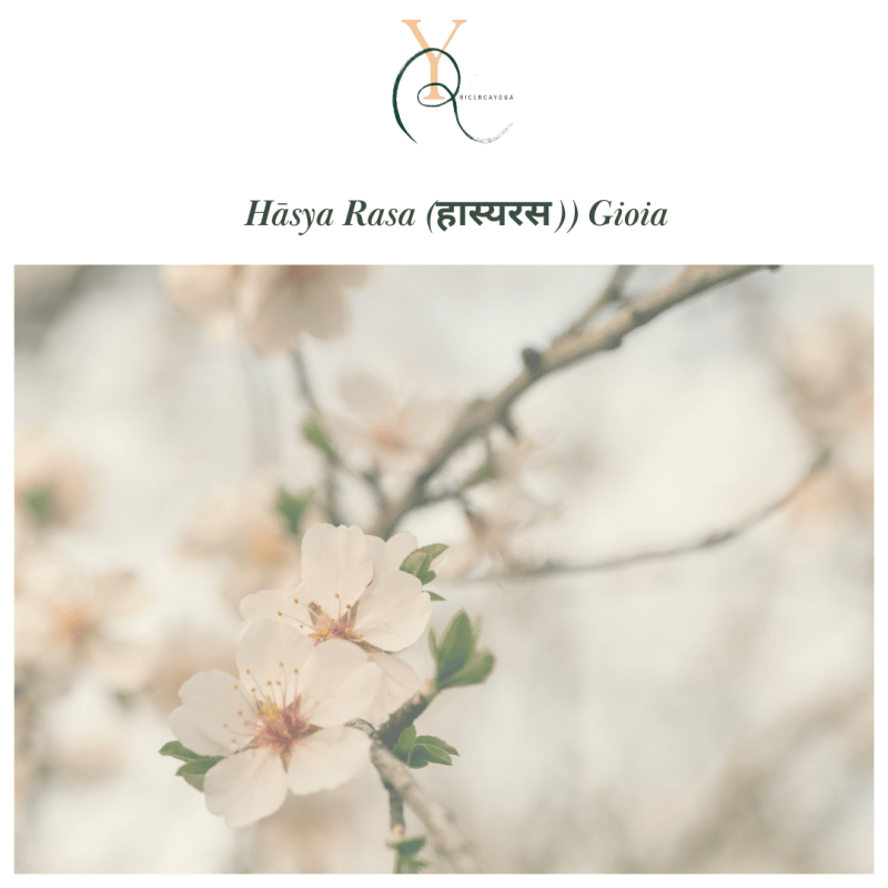 Hāsya Rasa, la&nbsp;Gioia