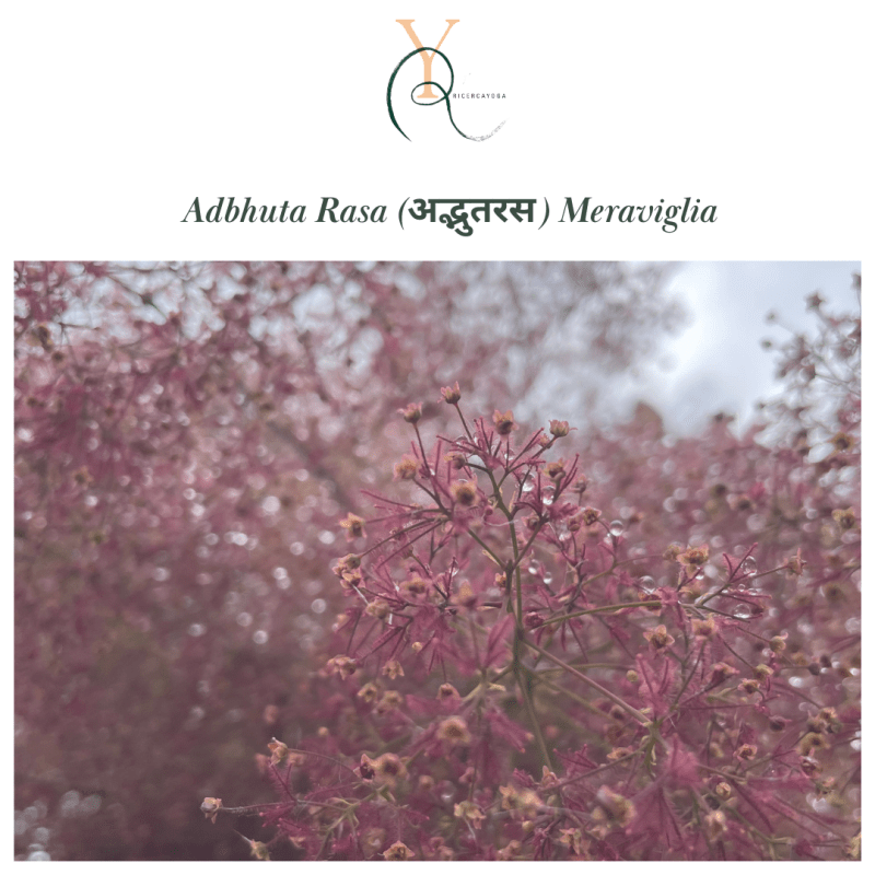 Adbhuta Rasa, la&nbsp;Meraviglia